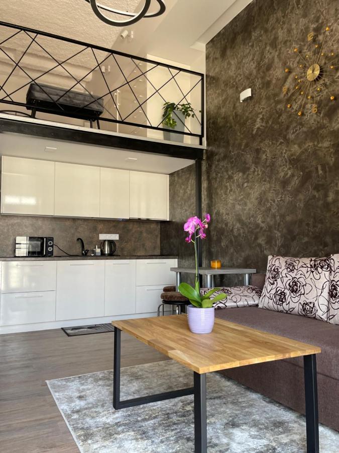 Radio City Loft Kaunas Eksteriør bilde